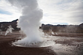 El Tatio Geysers, Antofagasta Region, Chile