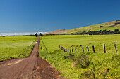 Ranch Road in North Kohala, Waimea, Island of Hawaii, Hawaii, United States of America