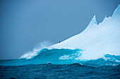 Ein einsamer Zuegelpinguin Pygoscelis antarctica klettert auf einen Eisberg waehrend Wellen dagegen rauschen, Point Wild, Elephant Island, Suedshetland-Inseln, Antarktis