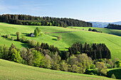 Glottertal Valley, Black Forest, Baden Wurttemberg, Germany, Europe