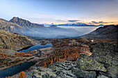 Sunrise on Matterhorn and Mount Rosa, Natural Park of Mont Avic, Valle d'Aosta, Graian Alps, Italy, Europe