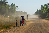 Dusty road, Mount Mulanje, Malawi, Africa
