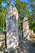 Stela 24 on right, and Stela 23 on left, on top of Structure VI, Calakmul Mayan Archaeological Site, UNESCO World Heritage Site, Campeche, Mexico, North America