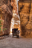 Horsecart in the Siq, Petra, UNESCO World Heritage Site, Jordan, Middle East