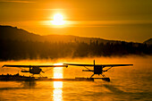 Floatplanes silhouetted on Beluga Lake, Homer, Kenai Peninsula, Southcentral Alaska