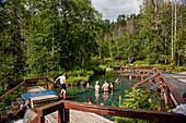 Tourists in the pools of Liard River Hot Springs, British Columbia, Canada
