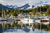 Boats docked in Auke Bay, Juneau, Southeast Alaska, Summer
