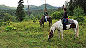 Tourists on a trail ride with Horse Trekkin Alaska in Far North Bicennentenial Park Anchorage, Southcentral Alaska