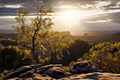 View from the Carolafelsen in spring with a spectacular sunset and the first green leaves on the trees, Elbe Sandstone Mountains, Saxon Switzerland National Park, Saxony, Germany