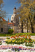 Bruehlscher garden in the old town of Dresden with the Frauenkirche, Albertinum and blooming flowers in the foreground, Saxony, Germany