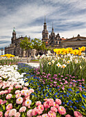 Theater Square with Hofkirche and Dresden Castle in spring with blooming flowers in the foreground, Dresden, Saxony, Germany