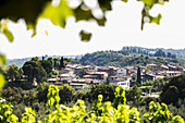 view to Villas at Lago di Garda, Trentino, South Tyrol, Italy