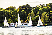 sailing boats and pleasure boat on the Outer Alster, Hamburg, north Germany, Germany