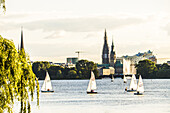 sailing boats on the Outer Alster with the Elbphilharmonie and town hall in the background, Hamburg, north Germany, Germany