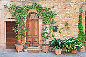 Traditional house with flower pots, Montisi, Siena Province, Tuscany, Italy, Europe