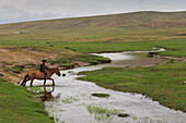 Nomadic boy rides his horse through river with gers int he distance at summer nomad camp, Khujirt, Uvurkhangai Ovorkhangai, Central Mongolia, Central Asia, Asia