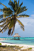 Wooden pier with thatched hut, Playa Blanca, Punta Cana, Dominican Republic, West Indies, Caribbean, Central America