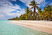 Canto de la Playa, Saona Island, Parque Nacional del Este, Punta Cana, Dominican Republic, West Indies, Caribbean, Central America