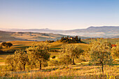 Farm house Belvedere at sunrise, near San Quirico, Val d'Orcia Orcia Valley, UNESCO World Heritage Site, Siena Province, Tuscany, Italy, Europe