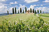 Farm house with cypress trees, near Pienza, Val d'Orcia Orcia Valley, UNESCO World Heritage Site, Siena Province, Tuscany, Italy, Europe