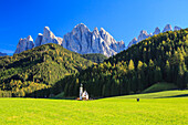 Church of Ranui surrounded by green meadows in autumn, St. Magdalena, Funes Valley, South Tyrol, Dolomites, Italy, Europe