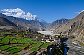 Kagbeni, village at the Annapurna Circuit Trek with a buddhist Gompa in the Kali Gandaki valley, the deepest valley in the world. Nilgiri Himal (7061 m) in the background, Mustang, Nepal, Himalaya, Asia