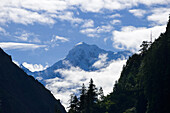 Manaslu (8163 m), number 8 on the list of the highest mountains in the world, view from Koto at the Annapurna Circuit Trek, Nepal, Himalaya, Asien