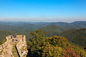 Hikers at Wegelnburg castle, near Nothweiler, Dahner Felsenland, Palatinate Forest nature park, Rhineland-Palatinate, Germany