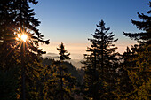 Sonnenaufgang am Belchen, Blick zu den Alpen, Suedlicher Schwarzwald, Baden-Wuerttemberg, Deutschland