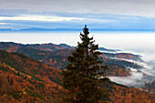 Fog over the Rhine valley, view from Belchen over Muenstertal and Rhine valley towards the Vosges, Black Forest, Baden-Wuerttemberg, Germany