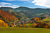 Landschaft bei Schoenau, Suedlicher Schwarzwald, Baden-Wuerttemberg, Deutschland