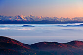Blick vom Belchen ueber den Nebel bis zu den Alpen mit Eiger, Moench und Jungfrau, Suedlicher Schwarzwald, Baden-Wuerttemberg, Deutschland