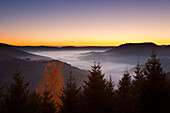Blick ueber den Nebel im Renchtal, Schwarzwald, Baden-Wuerttemberg, Deutschland