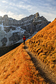 Hiker on a trail around the Forcella De Furcia at sunrise, Val di Funes, South Tyrol, Dolomites, Italy, Europe