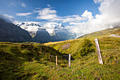 View of Mount Eiger from First, Grindelwald, Bernese Oberland, Canton of Bern, Swiss Alps, Switzerland, Europe