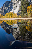 Yosemite National Park