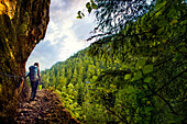 Hiking Eagle Falls Trail