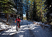 A man wearing a red jacket rides his fat tire bike through a sun spot on a snow covered logging road in the woods.