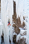 A man ice climbing a frozen waterfall in the Ouray Ice Park, Ouray, Colorado.