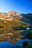 Berg mit See, Tête des Toillies, Lac de la Blanche, Naturpark Queyras, Departement Hautes-Alpes, Region Provence-Alpes-Côte d’Azur, Alpen, Frankreich, Europa