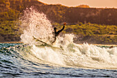 Surfing a wave at sunset time