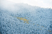 Snowy and Cloudy mountainside