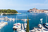 Hafen und Altstadthügel von Rovinj, Istrien, Kroatien