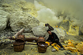 Miners of the devil mine of Ijen volcano loading transport baskets with sulfur - Indonesia, Java