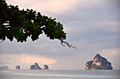 On the island of Kradan, Andaman Sea, South-Thailand, Thailand, Asia