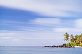 Palm tree long exposure, Muri, Rarotonga, Cook Islands, South Pacific, Pacific