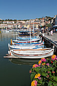 Traditional fishing boats moored in the harbour of the historic town of Cassis, Cote d'Azur, Provence, France, Mediterranean, Europe