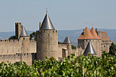 The medieval walled town of Carcassonne, UNESCO World Heritage Site, Languedoc-Roussillon, France, Europe