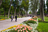 Tulips in Gulhane Park Rosehouse Park, Istanbul, Turkey, Europe