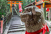 Stone sculpture, Fushimi Inari Taisha, Shinto shrine and vermilion torii gates in wooded forest, Mount Inari, Kyoto, Japan, Asia